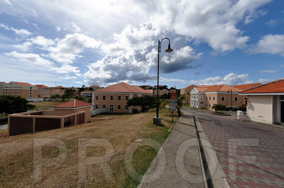 St. Georges Medical School