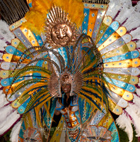 MIA/BROWARD CARNIVAL KINGS & QUEENS 2013